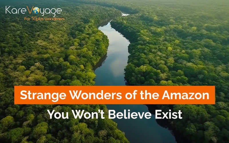 Strange Wonders of the Amazon You Won’t Believe Exist