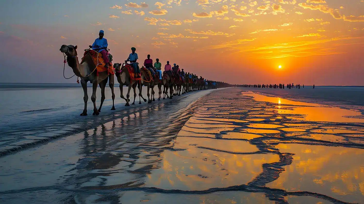 rann-of-kutch
